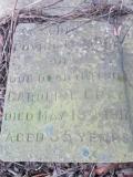image of grave number 281256
